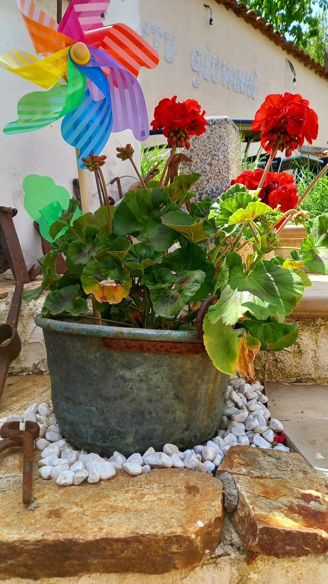 "B&B Santu Giuvanni" Fonni Kültér fotó